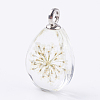 Glass Dried Flower Pendants GLAA-K018-E-1