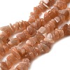 Natural Sunstone Chip Beads Strands G-E271-87-1