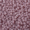 TOHO Round Seed Beads SEED-XTR11-0151F-2