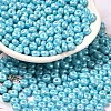 Baking Paint Luster Glass Seed Beads X1-SEED-B001-04A-03-1