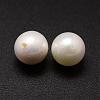 Shell Pearl Beads BSHE-L031-01-12mm-2