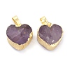 Natural Amethyst Pendants G-B012-13G-01-3