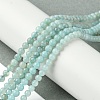 Natural Amazonite Beads Strands G-K365-C04-01-2