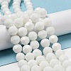 Opaque Glass Beads Stands X-EGLA-A035-P10mm-D01-2