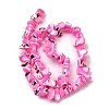 Natural Trochid Shell/Trochus Shell Beads Strands SHEL-B003-02E-2