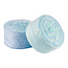 Segment Dyed Knitting Yarn LS-DIY-TAC0033-03H-2