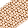 Eco-Friendly Dyed  Glass Pearl Round Beads Strands HY-A002-8mm-RB064-1