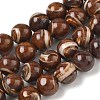 Natural Trochus Shell Beads Strands SH-CBAFEDD-02D-1