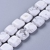 Natural Howlite Beads Strands G-G805-C11-2