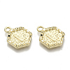Alloy Pendants PALLOY-N157-003L-NR-2