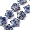Natural Blue Spot Jasper Beads Strands G-K359-E11-2