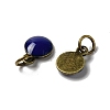 Brass Ename Charms KK-H487-22AB-03-2