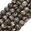 Natural Astroite Jasper Beads Strands G-F814-A01-10mm-2