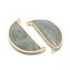 Natural Labradorite Pendants X-G-Q971-10-2