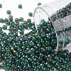 TOHO Round Seed Beads SEED-JPTR08-0384-1