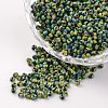 12/0 Opaque Colours Seep Glass Beads LS-SEED-M008-C05-1