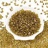 Baking Paint Transparent Glass Seed Beads X-SEED-N006-05C-2