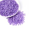 Baking Paint Glass Seed Beads GLAA-T023-43F-3