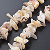 Natural Trochid Shell/Trochus Shell Bead Strands SSHEL-N034-105-B01-2