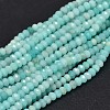 Faceted Rondelle Natural Amazonite Bead Strands G-F289-06-1