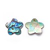 Abalone Shell/Paua Shell Pendants SHEL-P076-07-2