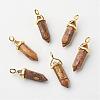 Natural Picture Jasper Double Terminated Pointed Pendants G-G902-B12-2