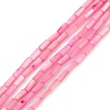 Natural Freshwater Shell Dyed Beads Strands SHEL-M018-11-13-1