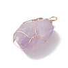 Raw Rough Natural Amethyst Copper Wire Wrapped Pendants PALLOY-JF02787-01-4