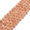 Natural Peach Moonstone Beads Strands G-P463-22-1