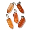 Natural Red Agate(Dyed & Heated) Pendants G-Z067-07P-16-2