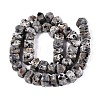 Natural Syenite Beads Strands G-D091-A32-2