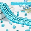10 Strands 5 Style Synthetic Turquoise Beads G-OC0002-15-3