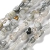 Natural Eagle Eye Stone Beads Strands G-P497-01C-14-1