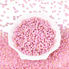 6/0 Glass Seed Beads SEED-N008-07H-2