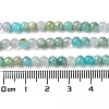 Natural Amazonite Round Beads Strands G-A025-01B-5