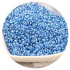 Glass Seed Round Beads SEED-WH0007-01-22-1
