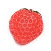 Resin Decoden Cabochons CRES-T005-65-1