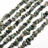 Natural Moss Agate Chip Bead Strands G-M205-45-1