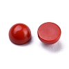Synthetic Coral Cabochons G-P393-R65-4MM-2
