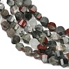 Natural African Bloodstone Beads Strands G-P611-C31-01-4