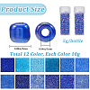 Glass Seed Beads SEED-SC0001-51B-05-2