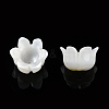 Natural White Shell Bead Caps SSHEL-N032-58A-1