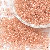 8/0 Round Glass Seed Beads SEED-J018-F8-72-1