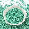 Baking Paint Glass Seed Beads SEED-S042-05B-60-2