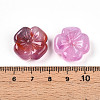 Transparent Acrylic Beads TACR-T028-40D-4