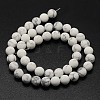 Natural Howlite Beads Strands G-D696-10mm-2