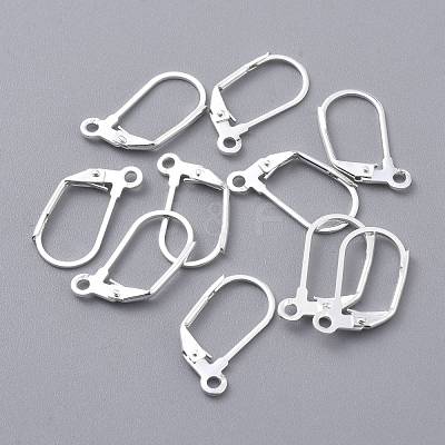 304 Stainless Steel Leverback Earring Findings STAS-K210-28S-1
