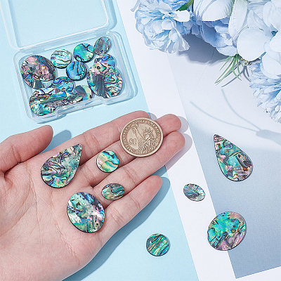 18Pcs 4 Styles Natural Paua Shell Cabochons SHEL-WR0001-10-1