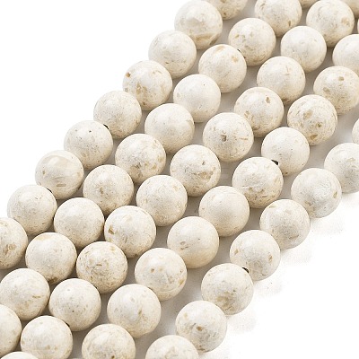 Natural Fossil Beads Strands G-H026-02C-1