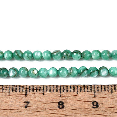 Natural Freshwater Shell Beads Strands BSHE-T009A-01J-1